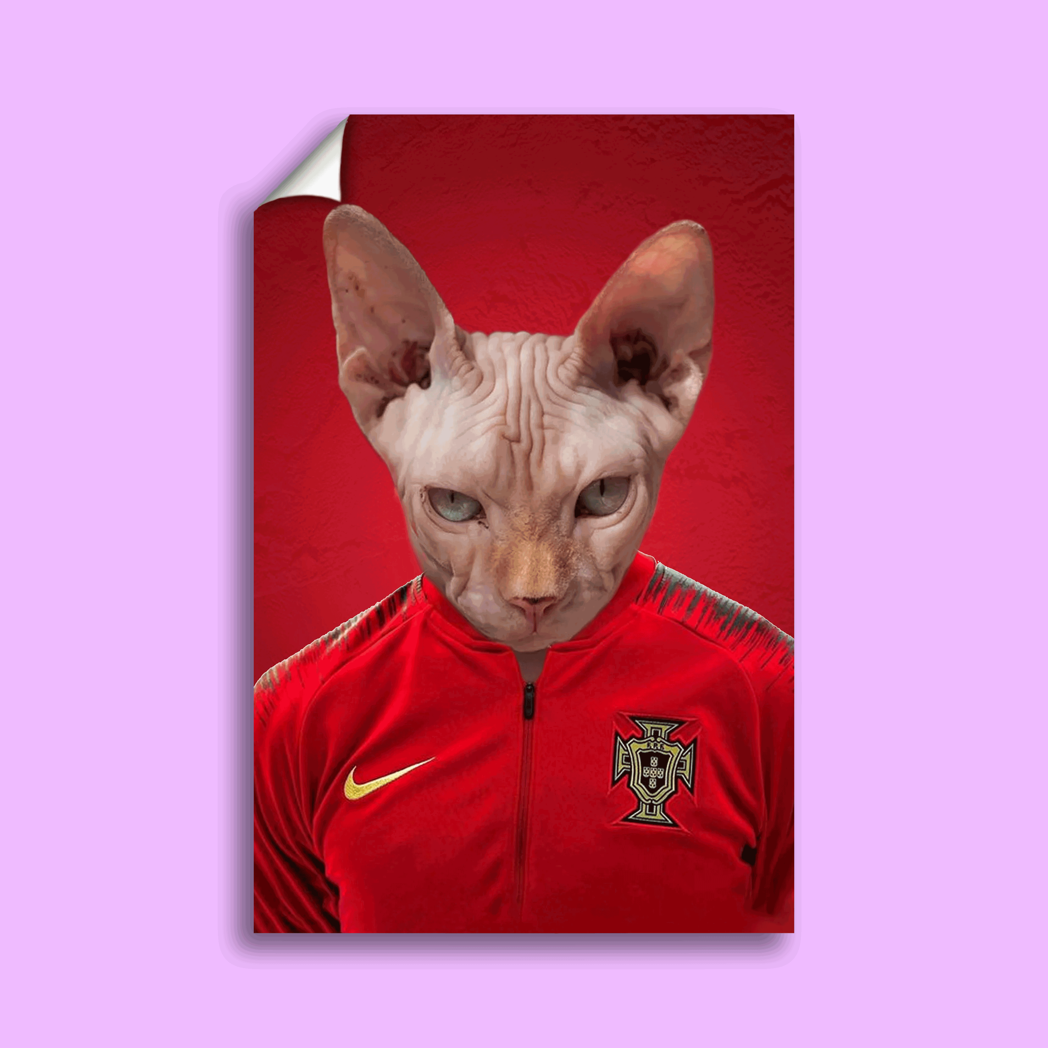 Portuguese Football Champion Sphynx Cat Custom Pet Portrait | Personalized Pet Art